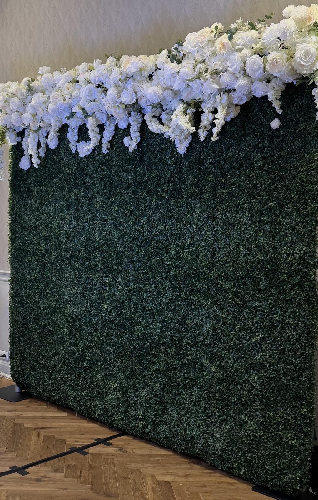 Wisteria backdrop